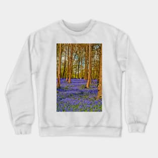 Bluebell Woods Greys Court Oxfordshire England Crewneck Sweatshirt